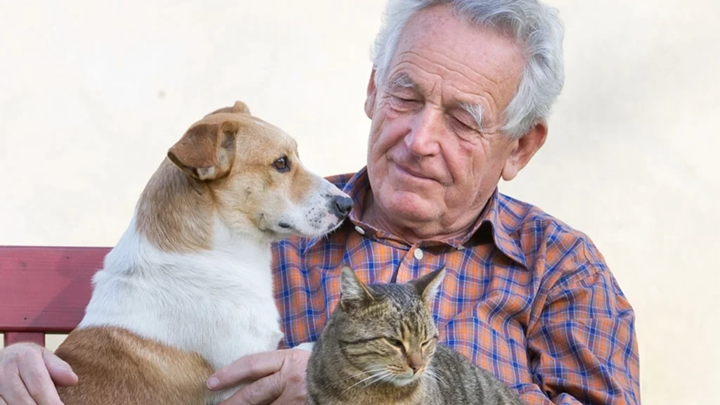 A dog, a man and a cat